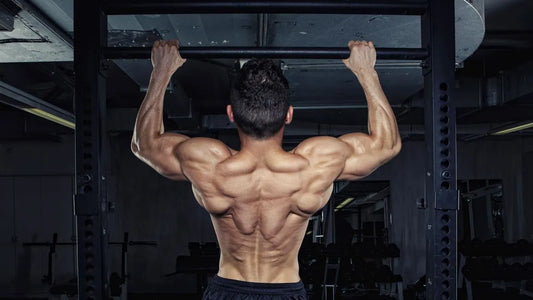 Anatomía del movimiento en CrossFit: Ejercicios clave para el tren superior